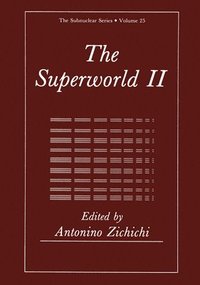 bokomslag The Superworld II