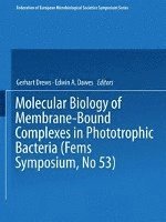 bokomslag Molecular Biology of Membrane-Bound Complexes in Phototrophic Bacteria