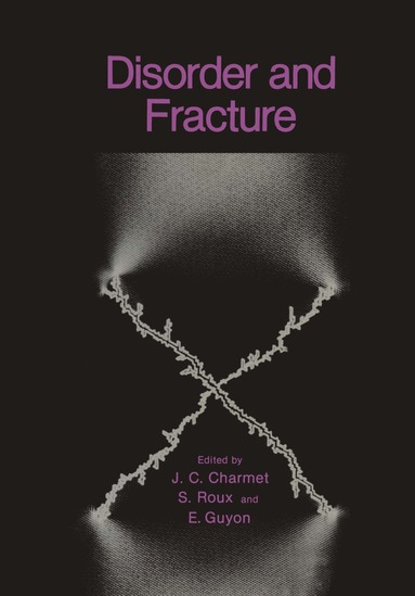 bokomslag Disorder and Fracture
