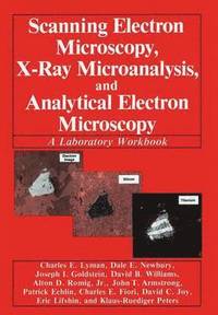 bokomslag Scanning Electron Microscopy, X-Ray Microanalysis, and Analytical Electron Microscopy