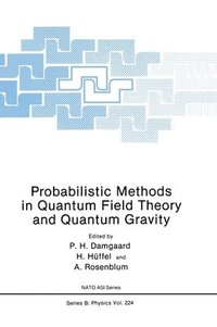 bokomslag Probabilistic Methods in Quantum Field Theory and Quantum Gravity