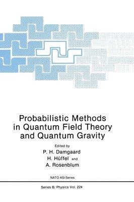 P. H. Damgaard, NATO Advanced Research Workshop on Proba, P. H. Damgaard, etc. - Probabilistic Methods in Quantum Field Theory and Quantum Gravity, Inbunden