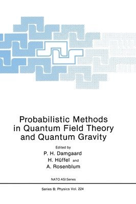 bokomslag Probabilistic Methods in Quantum Field Theory and Quantum Gravity