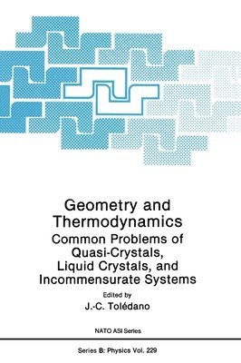 Jean-Claude Toledano - Geometry and Thermodynamics, Inbunden