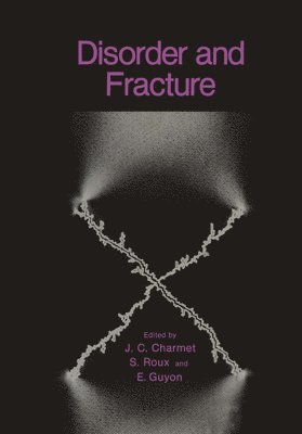 Disorder and Fracture 1