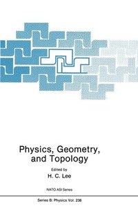 bokomslag Physics, Geometry and Topology