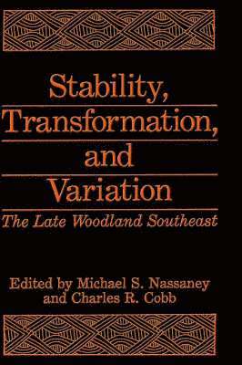 Stability, Transformation, and Variation 1