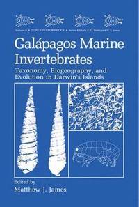 bokomslag Galpagos Marine Invertebrates