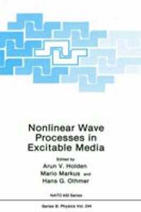 bokomslag Nonlinear Wave Processes in Excitable Media