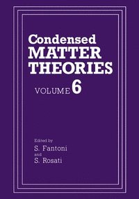 bokomslag Condensed Matter Theories: Volume 6