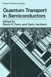 bokomslag Quantum Transport in Semiconductors