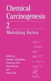 bokomslag Chemical Carcinogenesis: v. 2 Modulating Factors - 5th International Meeting Proceedings