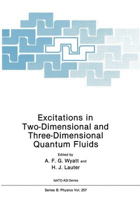 Excitations in Two-Dimensional and Three-Dimensional Quantum Fluids 1
