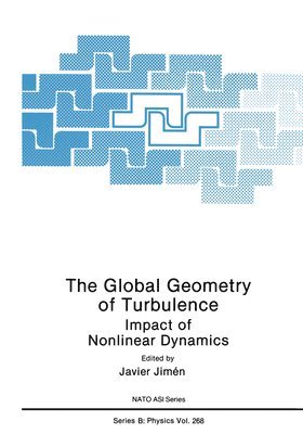 J. Jimenez, NATO Advanced Research Workshop on the G, J. Jimenez - Global Geometry of Turbulence, Inbunden