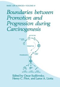 bokomslag Boundaries between Promotion and Progression during Carcinogenesis