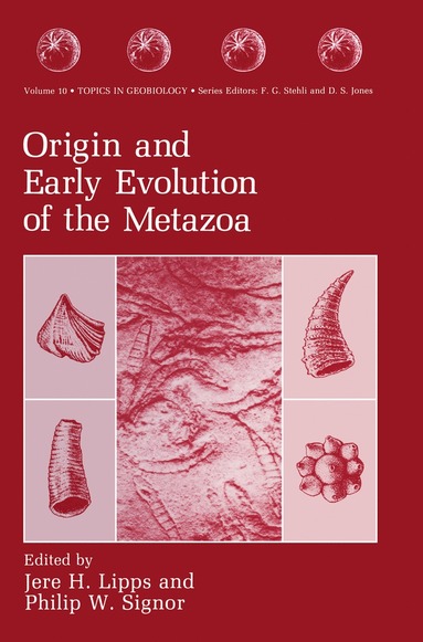 bokomslag Origin and Early Evolution of the Metazoa