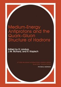 bokomslag Medium-Energy Antiprotons and the Quark-Gluon Structure of Hadrons