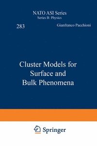 bokomslag Cluster Models for Surface and Bulk Phenomena