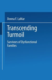 bokomslag Transcending Turmoil