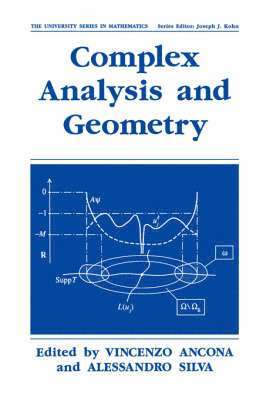 bokomslag Complex Analysis and Geometry