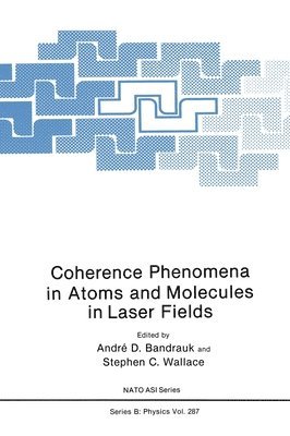 North Atlantic Treaty Organization, NATO Advanced Research Workshop on Coher, Andre D. Bandrauk, Stephan C. Wallace - Coherence Phenomena in Atoms and Molecules in Laser Fields, Inbunden