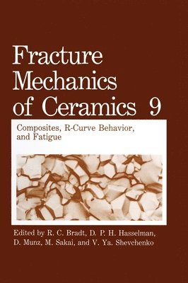 Fracture Mechanics of Ceramics: v. 9 Composites, R-curve Behavior and Fatigue - First Half of the Proceedings of the Fifth International Symposium Held in Nagoya, Japan, July 15-17, 1991 1