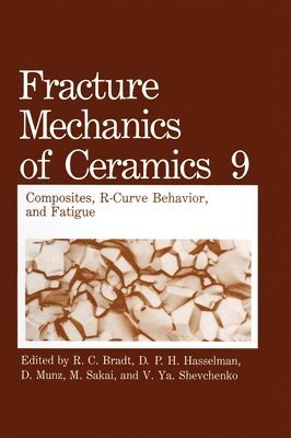 Composites, R-curve Behavior and Fatigue - First Half of the Proceedings of the Fifth International Symposium Held in Nagoya, Japan, July 15-17, 1991