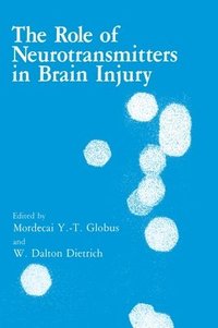 bokomslag The Role of Neurotransmitters in Brain Injury