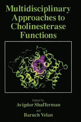 Multidisciplinary Approaches to Cholinesterase Functions 1