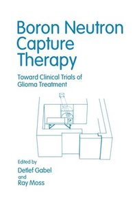 bokomslag Boron Neutron Capture Therapy