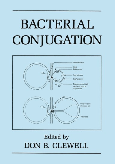 bokomslag Bacterial Conjugation