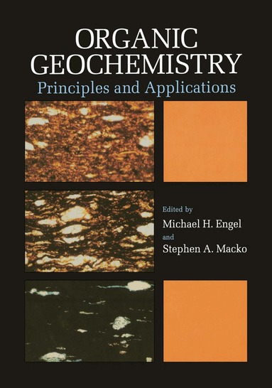 Michael H. Engel, Stephen A. Macko - Organic Geochemistry, Inbunden