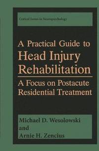 bokomslag A Practical Guide to Head Injury Rehabilitation