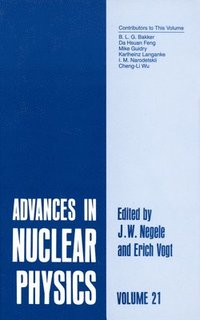 bokomslag Advances in Nuclear Physics: v. 21