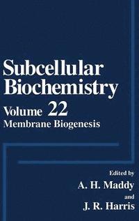 bokomslag Subcellular Biochemistry: v. 22 Membrane Biogenesis