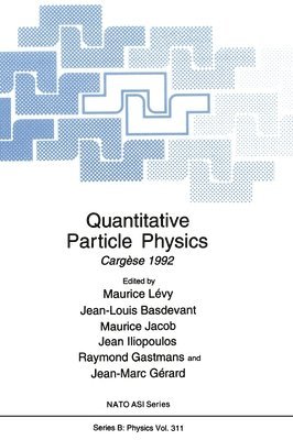 bokomslag Quantitative Particle Physics