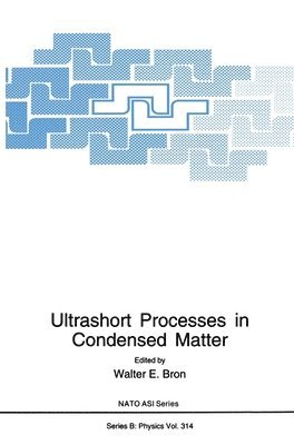 bokomslag Ultrashort Processes in Condensed Matter