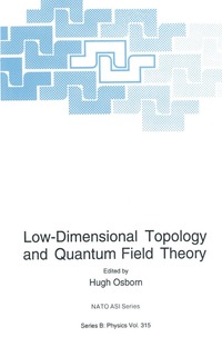 bokomslag Low-Dimensional Topology and Quantum Field Theory