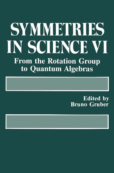 bokomslag Symmetries in Science VI