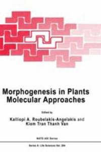 bokomslag Morphogenesis in Plants