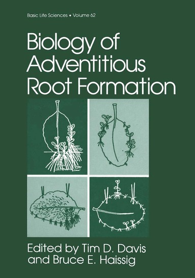 International Symposium on the Biology o, Tim D. Davis, Bruce E. Haissig - Biology of Adventitious Root Formation, Inbunden