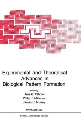 bokomslag Experimental and Theoretical Advances in Biological Pattern Formation