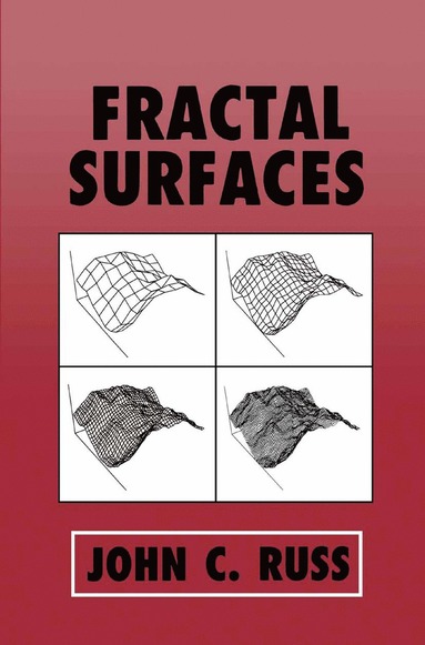 bokomslag Fractal Surfaces