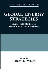 bokomslag Global Energy Strategies