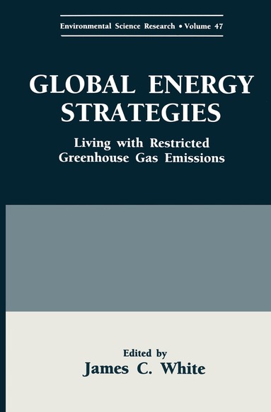 Center for Environmental Information (U, International Conference on Global Energ, James C. White - Global Energy Strategies, Inbunden
