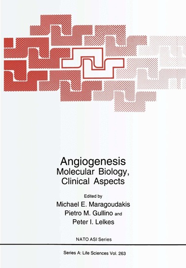 M. E. Maragoudakis, Michael Ed. Maragoudakis, Michael E. Maragoudakis, Pietro M. Gullino, Peter I. Lelkes - Angiogenesis, Inbunden