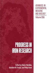 bokomslag Progress in Iron Research