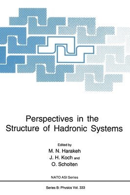 bokomslag Perspectives in the Structure of Hadronic Systems