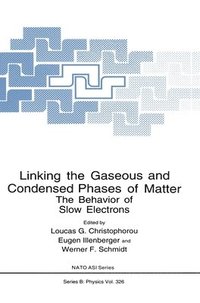 bokomslag Linking the Gaseous and Condensed Phases of Matter