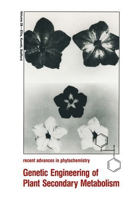 Phytochemical Society of North America, Brian E. Ellis, etc., Gary W. Kuroki, Brian E Ellis, Gary W Kuroki, Helen A Stafford - Genetic Engineering of Plant Secondary Metabolism, Inbunden